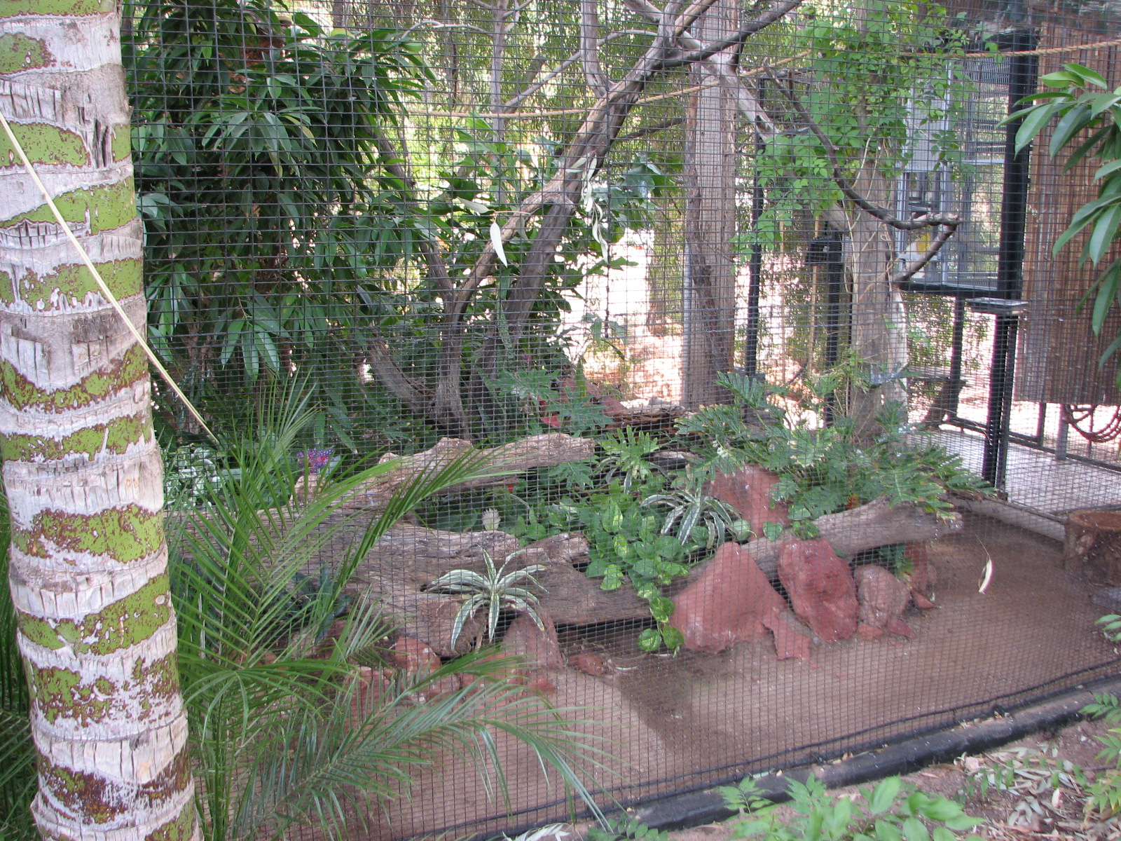 Keel Billed Toucan Exhibit