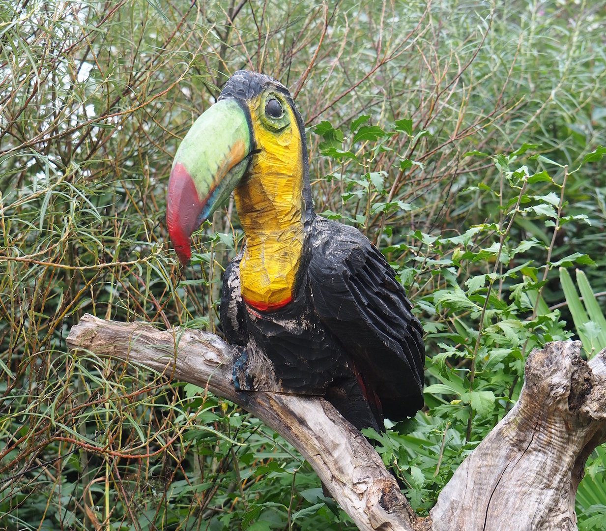 Keel-billed toucan wood carving, 2023-10-07