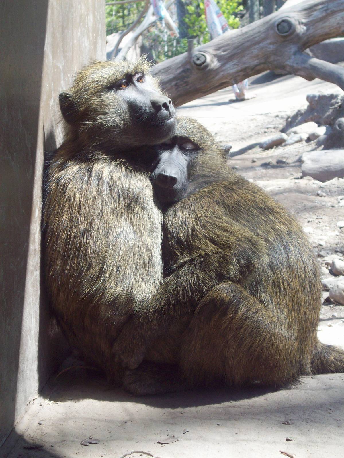 Keep me safe, always!