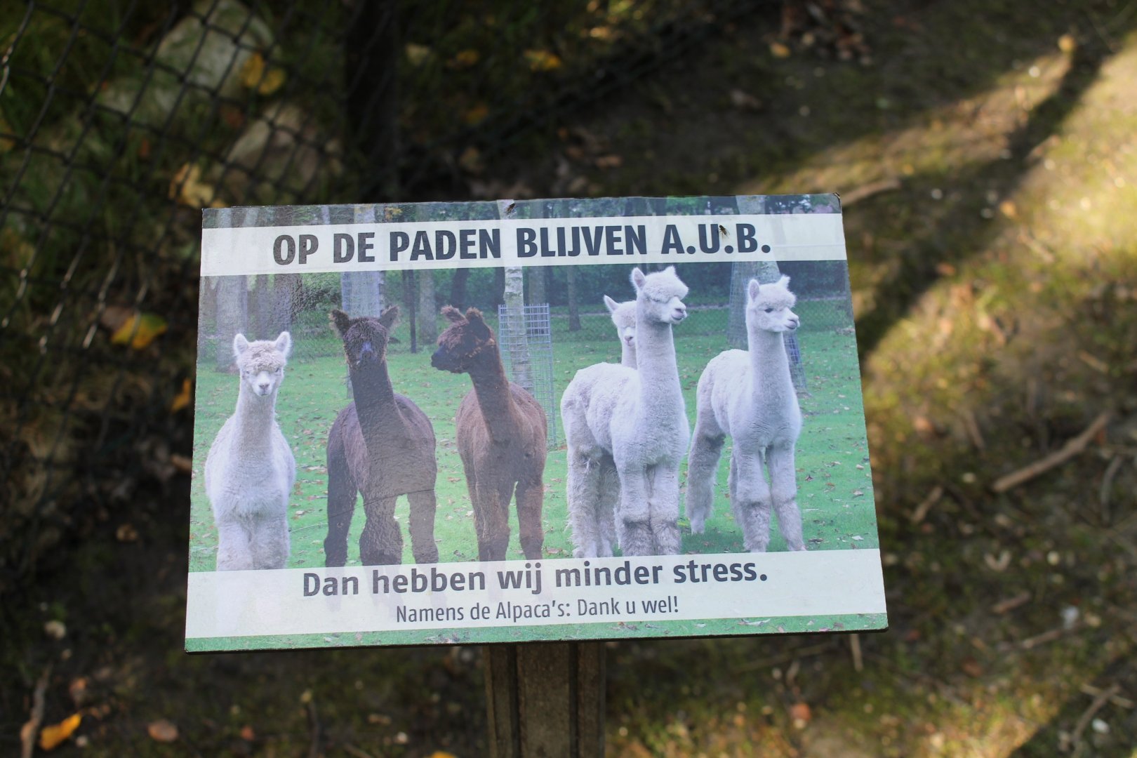 Keep on the path-ways