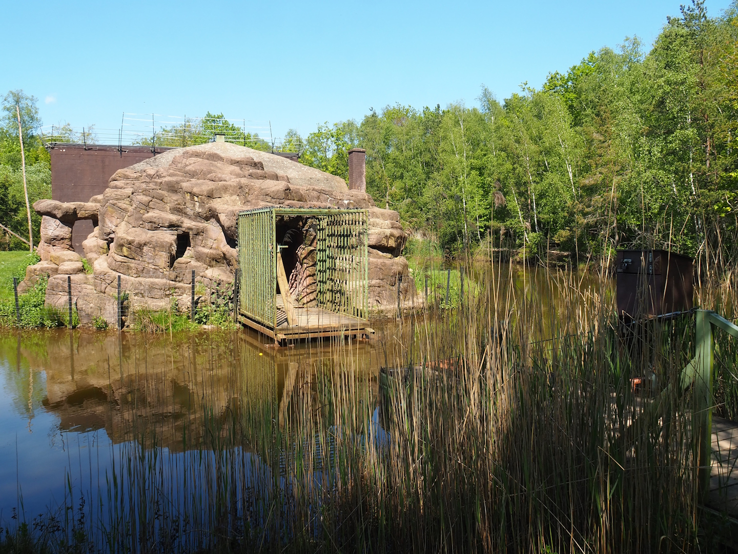 Keeper access to chimpanzee building, 2023-05-19