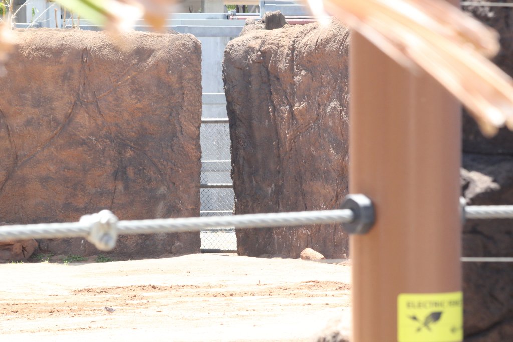 Keeper access to Elephant exhibit