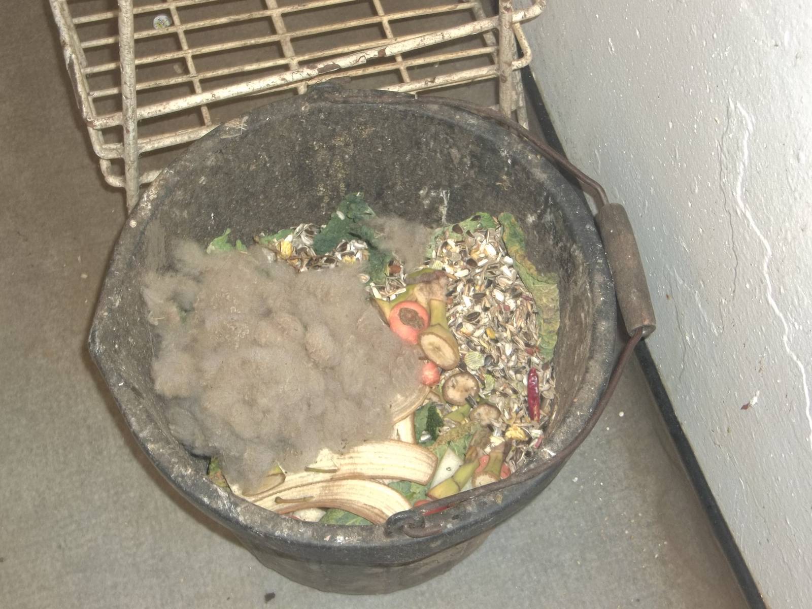 Keeper Ed has plucked Florrie again, 27th February 2015