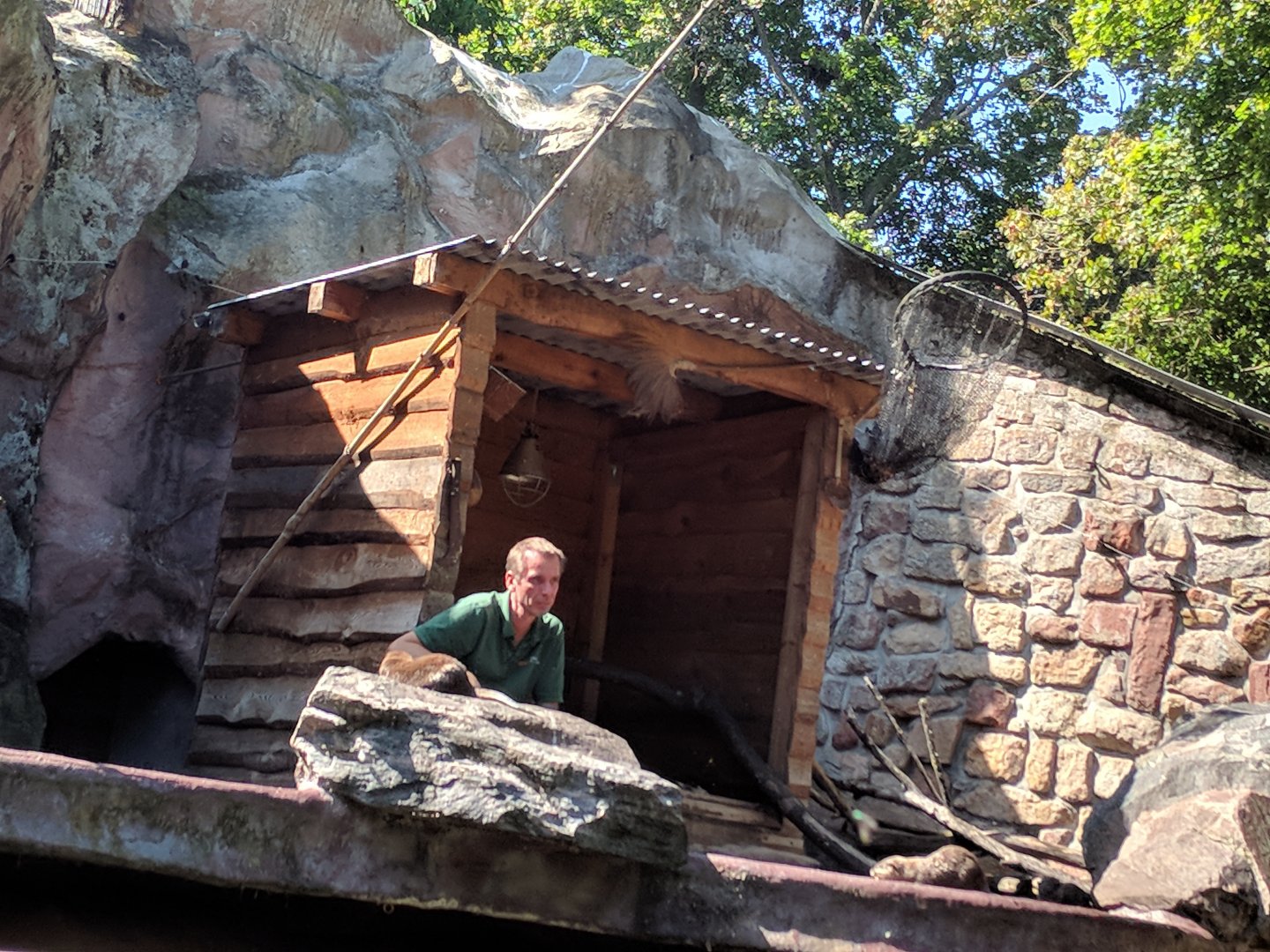Keeper feeding the Asian small Clawed Otters