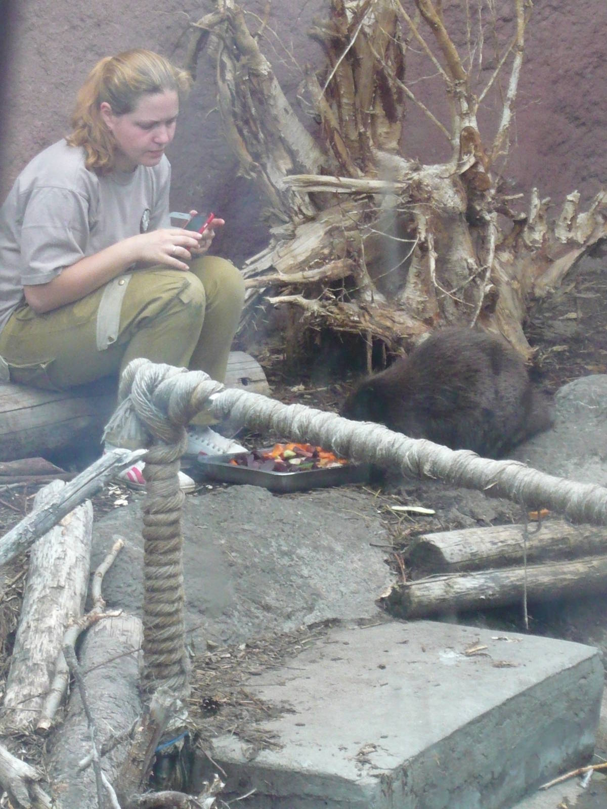 Keeper feeds a beaver