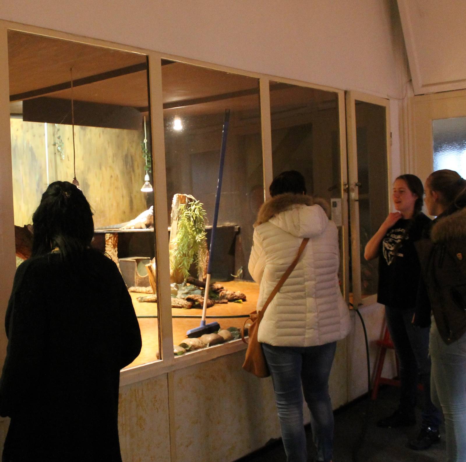 Keeper in front of Rhino iguana enclosure