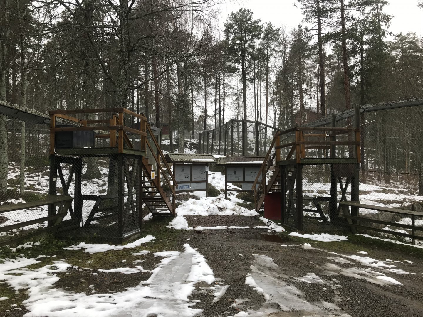 Keeper platforms for red fox and lynx