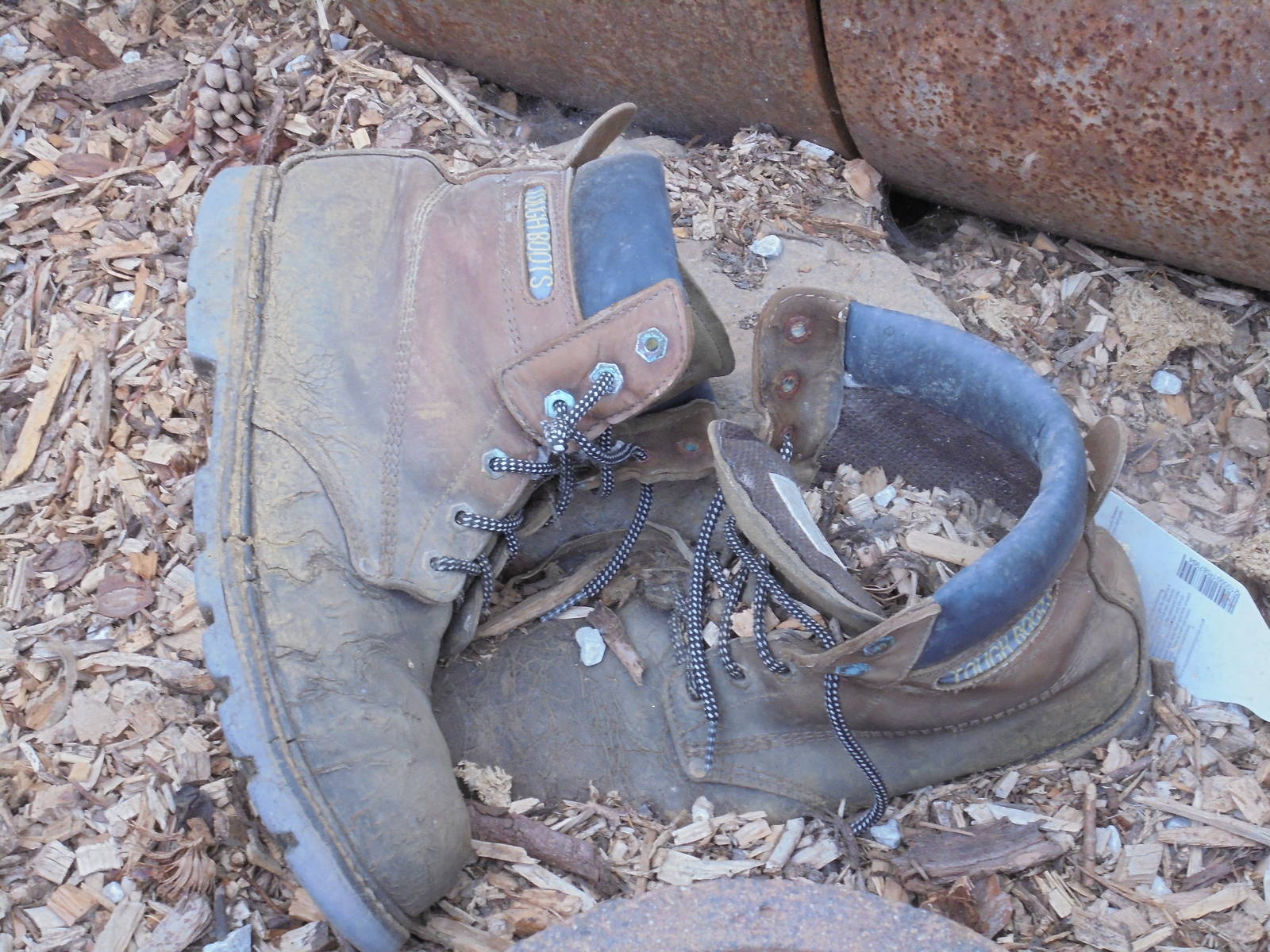 Keeper`s boots in former Chipmunk enclosure 2015.