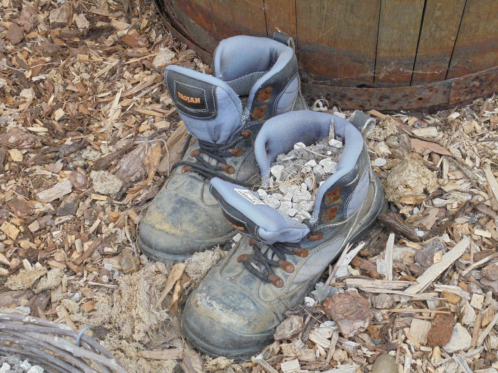 Keeper`s boots in former Chipmunk enclosure 2015.