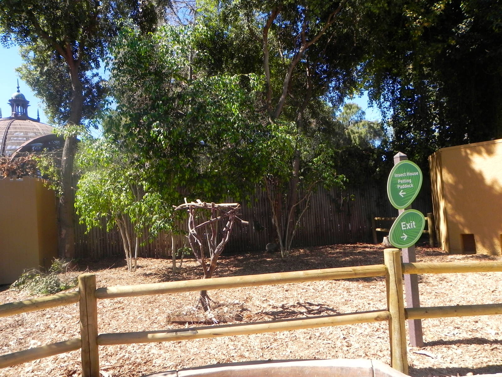 Keeper talk area where the sloth used to be. Children's Zoo