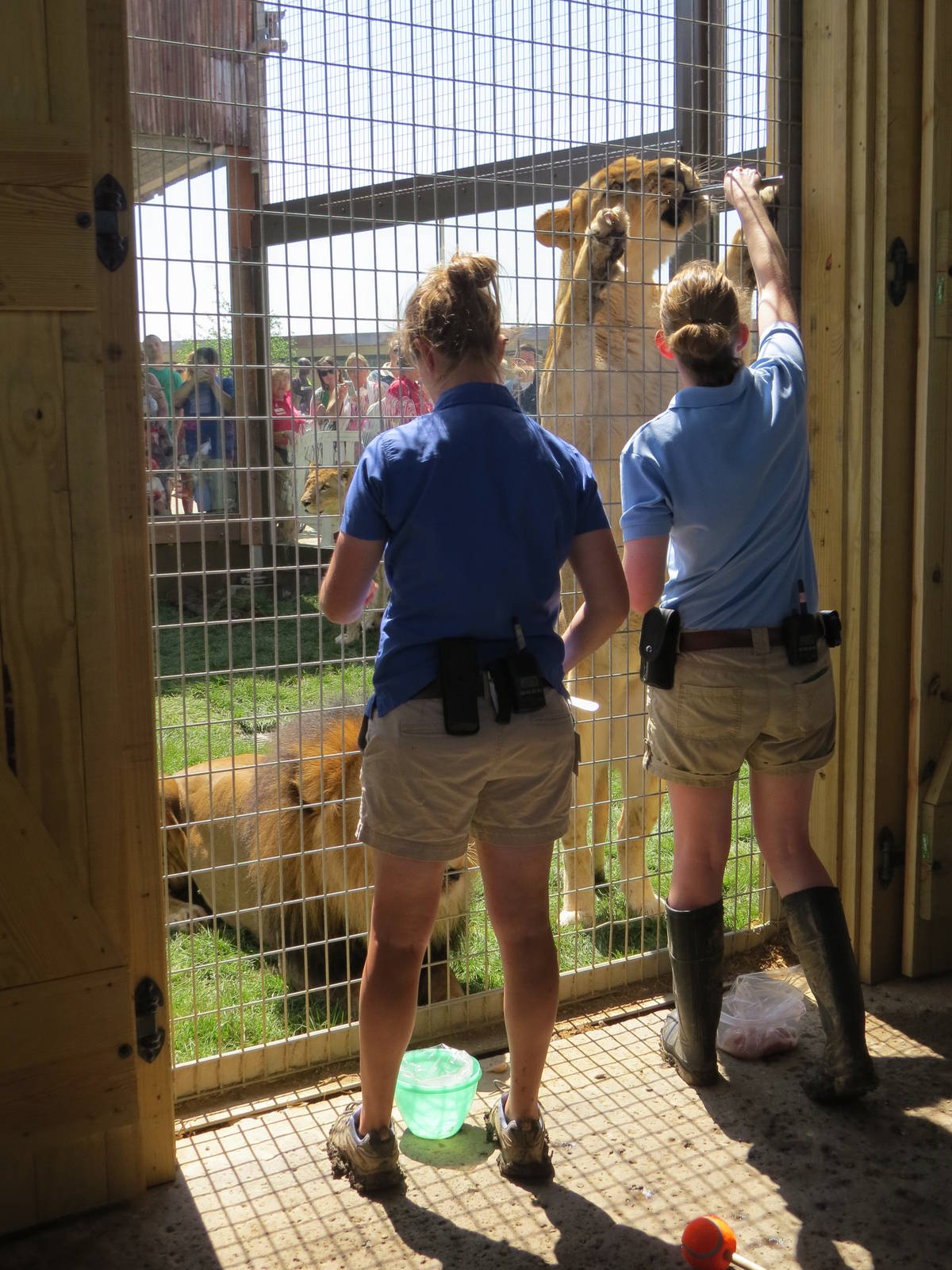 Keeper Training Session