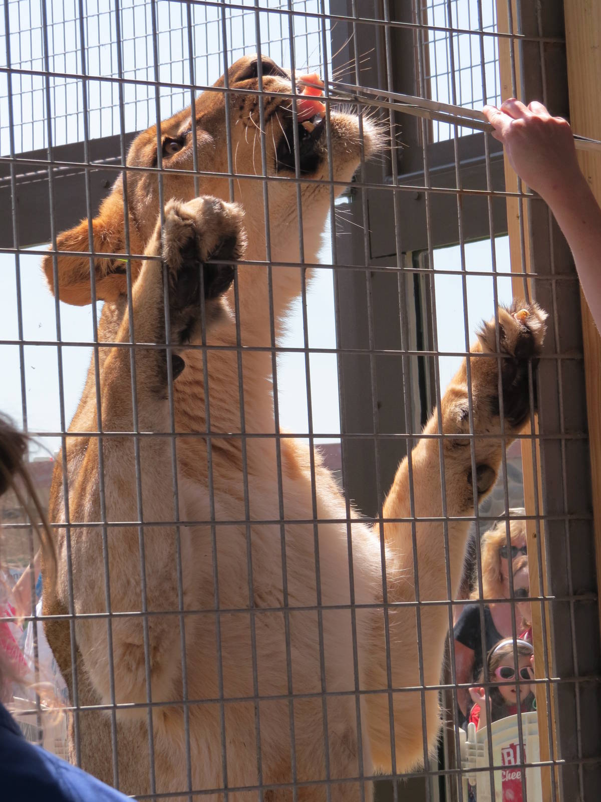 Keeper Training Session