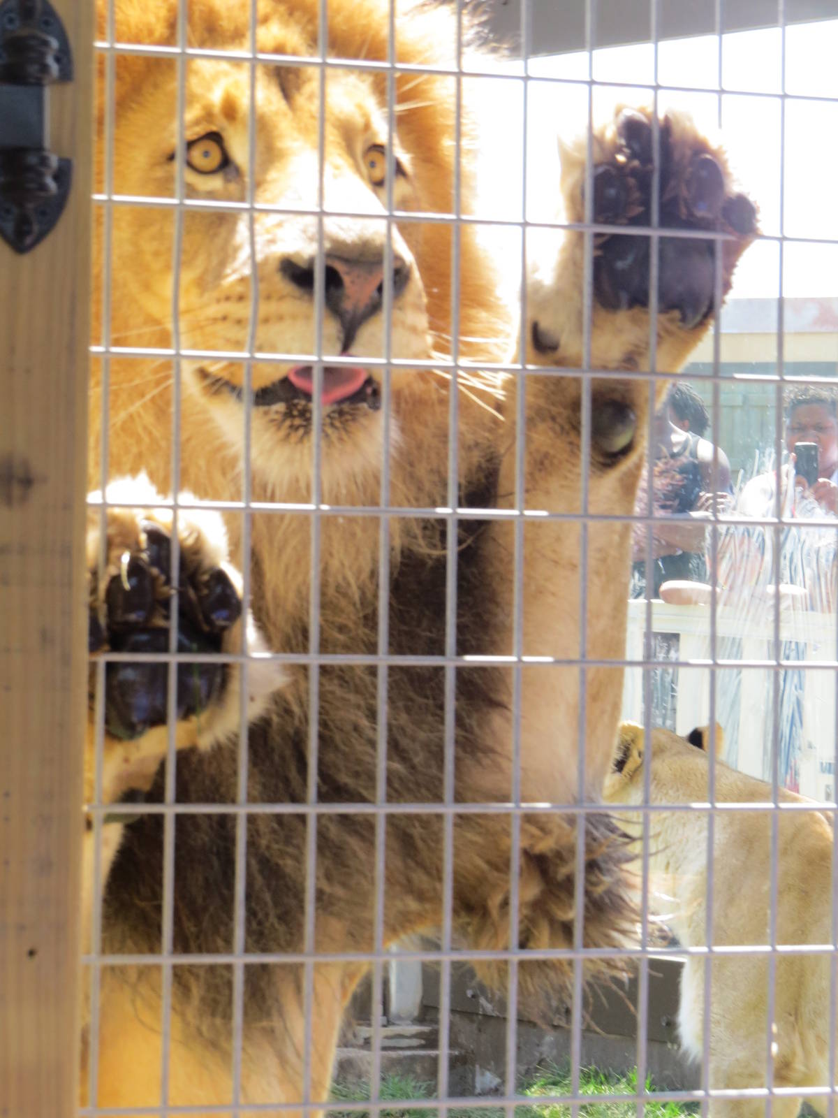Keeper Training Session