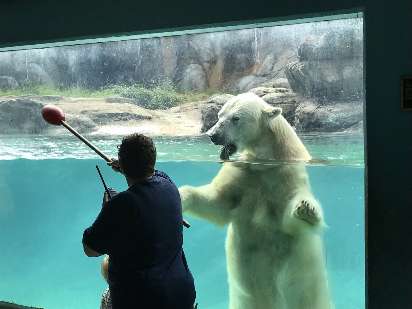 Keeper Training with Anana