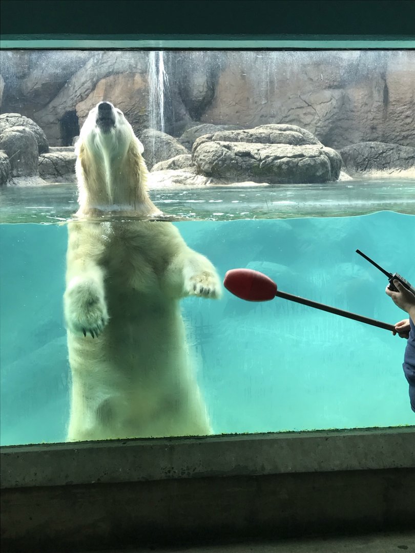 Keeper Training with Anana