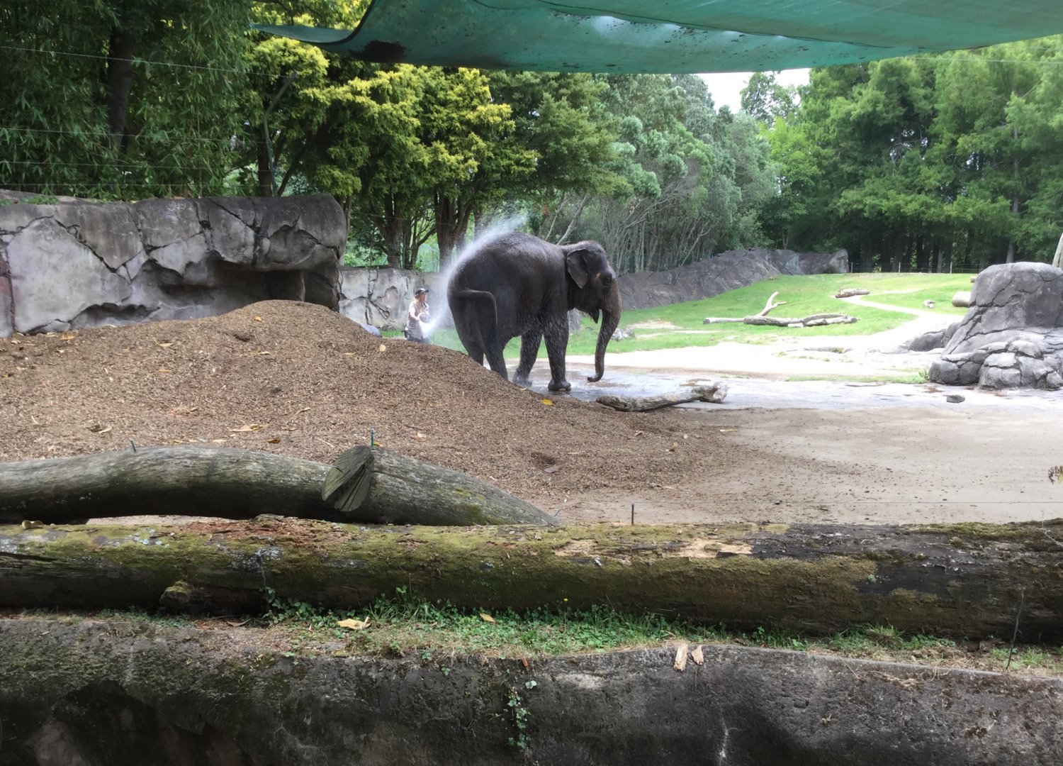 Keeper Washing Burma