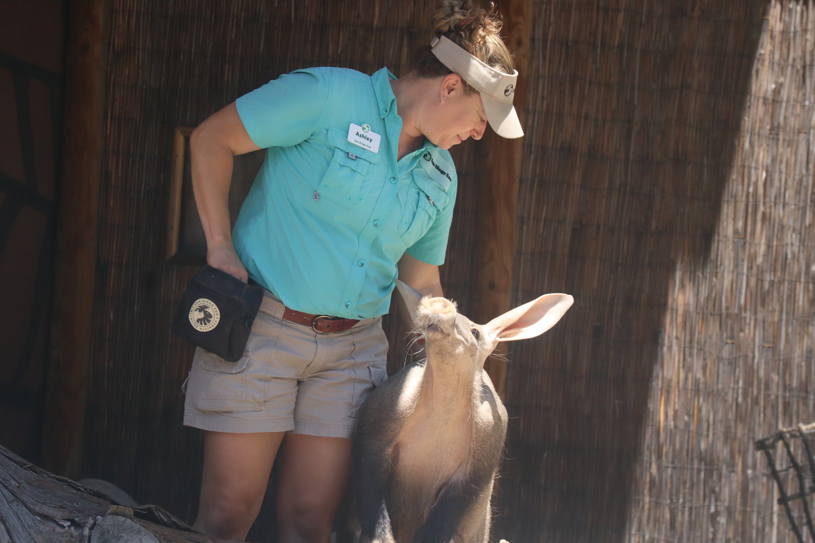 Keeper With Aardvark