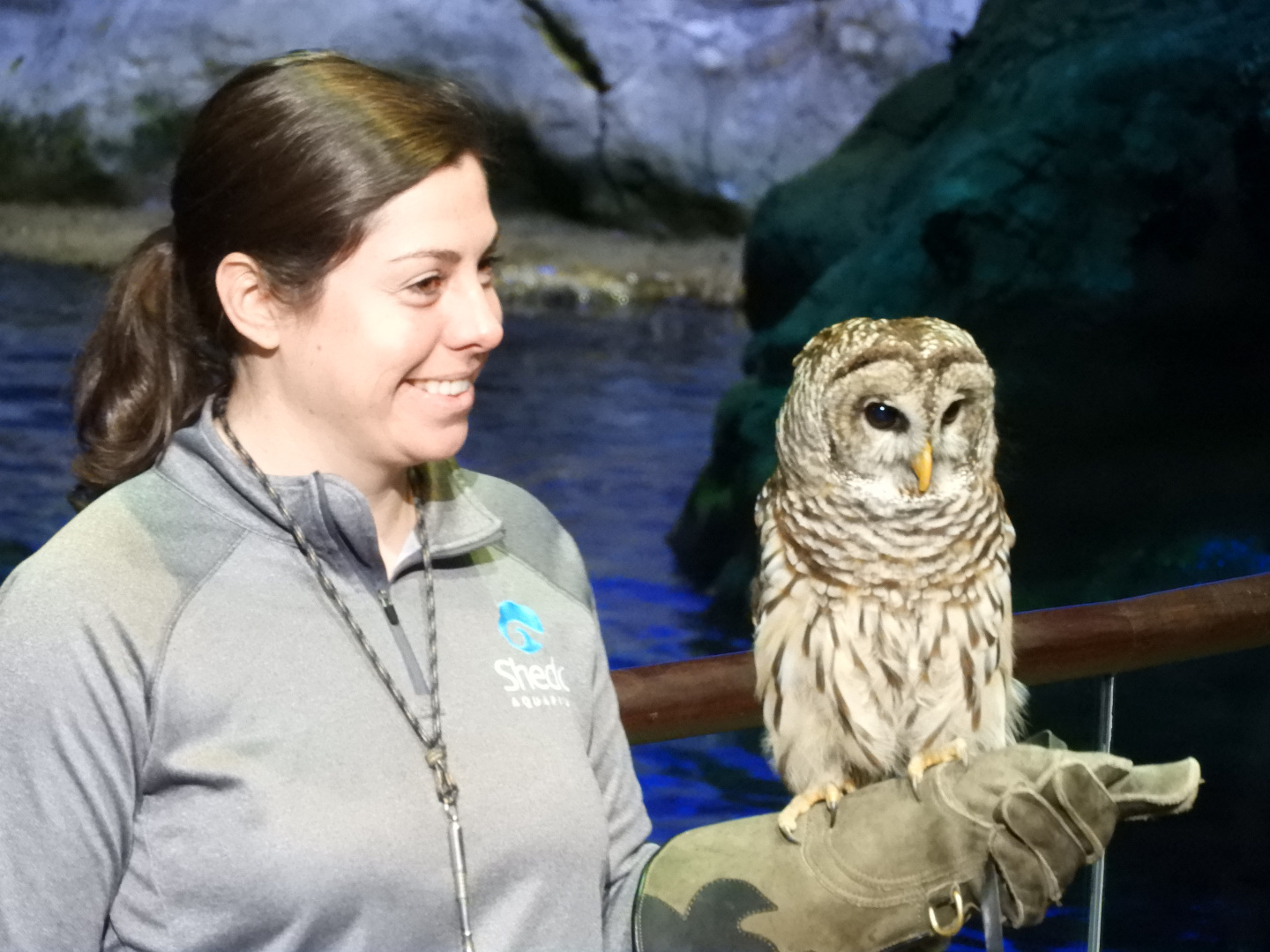 Keeper with Barred Owl (Strix varia)