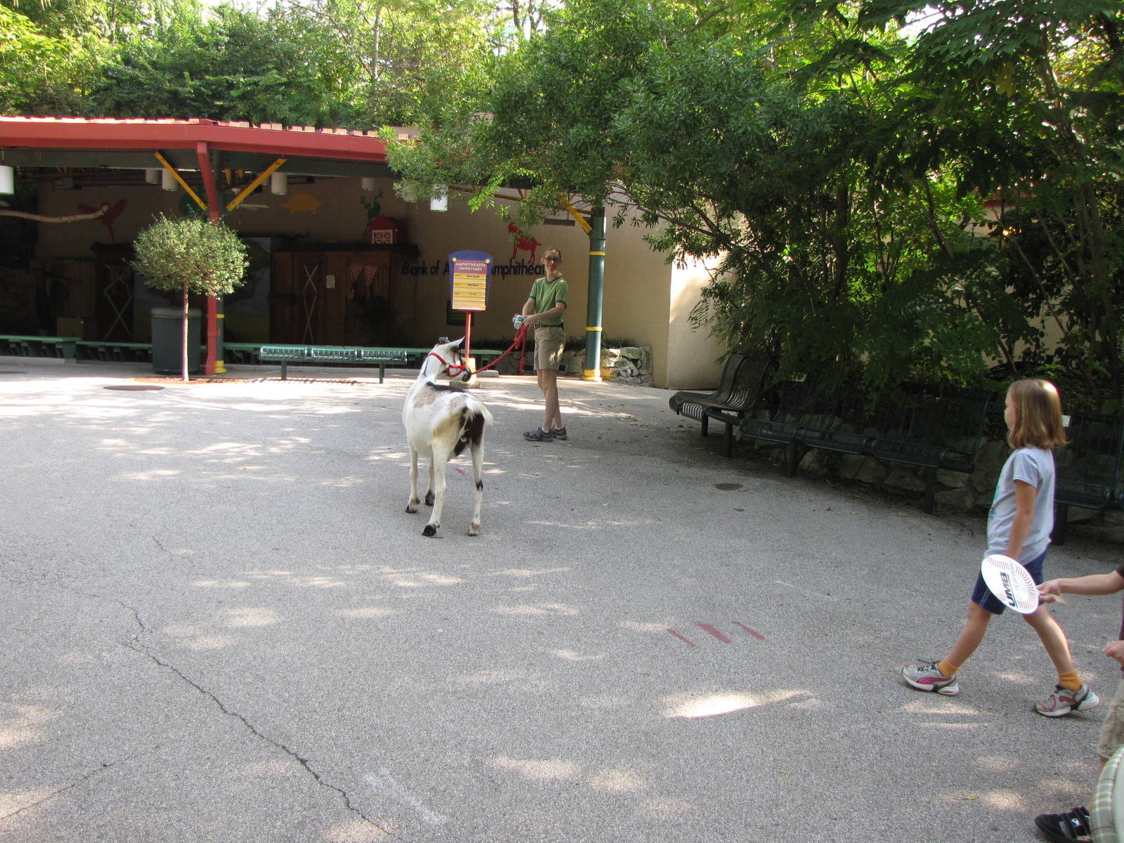 Keeper With Goat - Children's Zoo