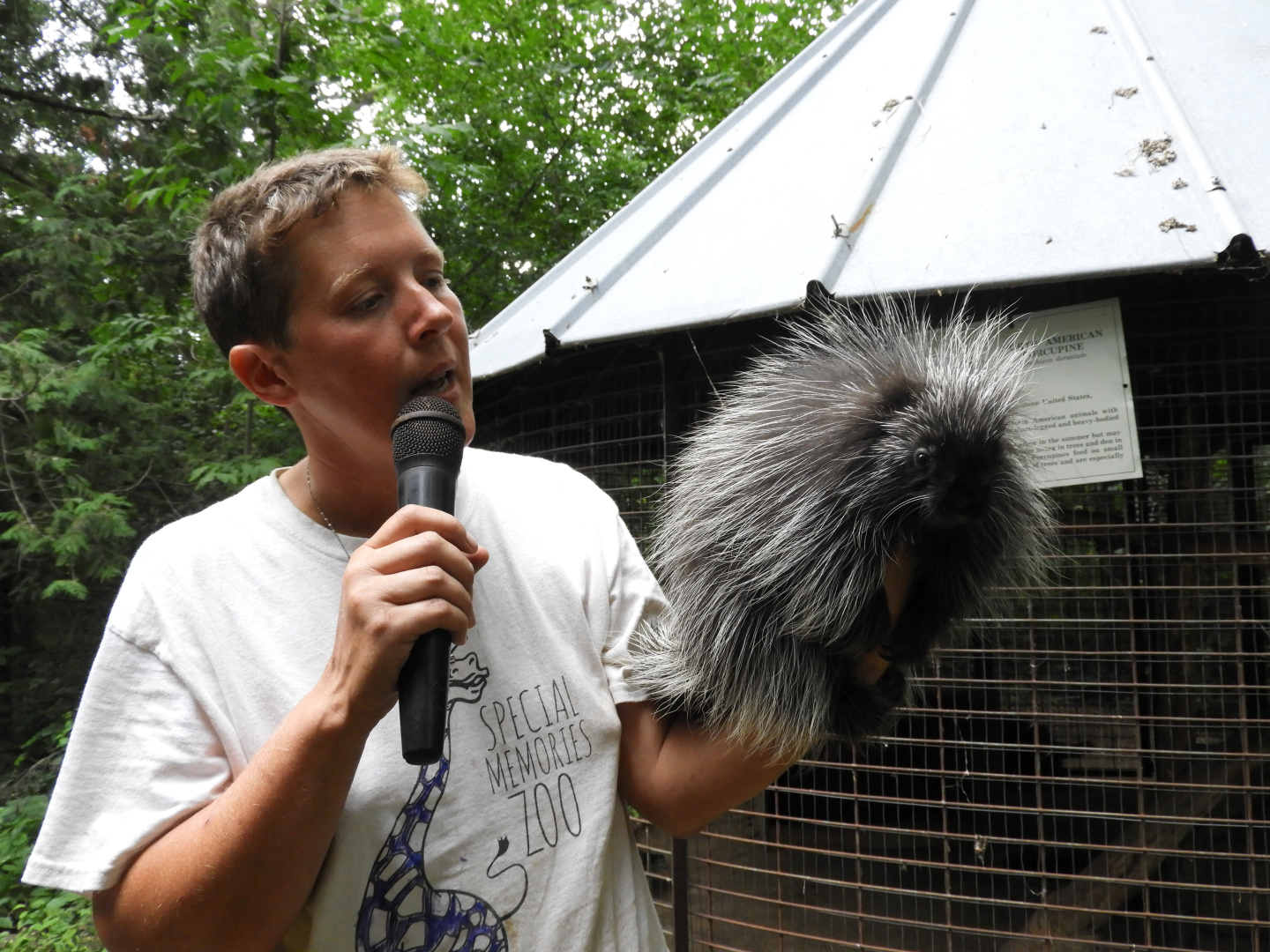 Keeper with North American Porcupine (Erethizon dorsatum)
