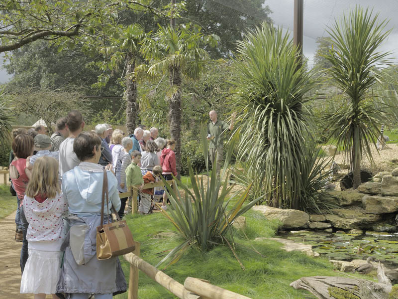 Keeper's talk in 'Madagascar'