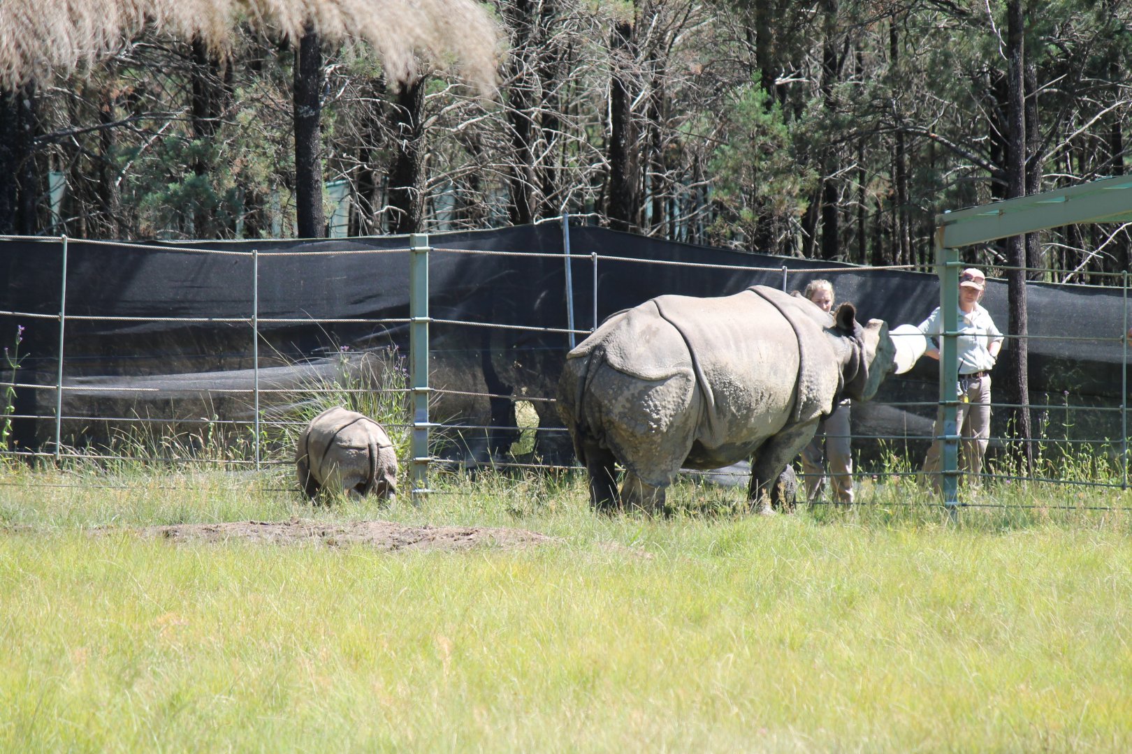 Keepers with Amala and Hari