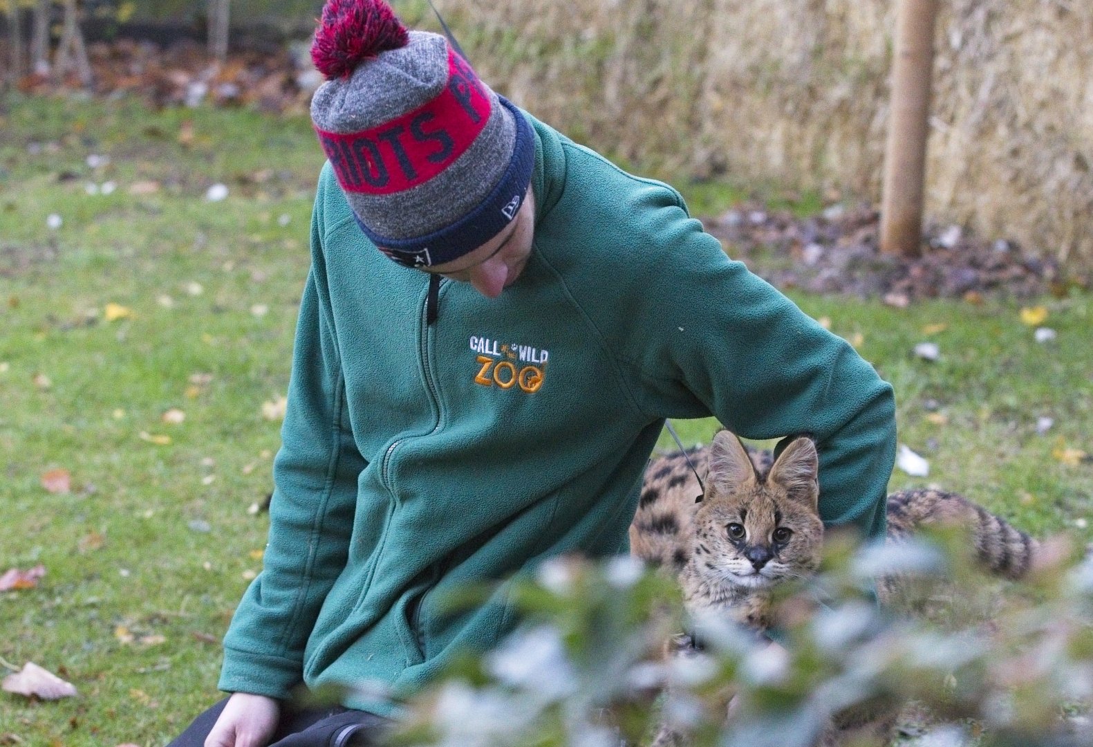 Keepers with Serval kittens (6 mth old)