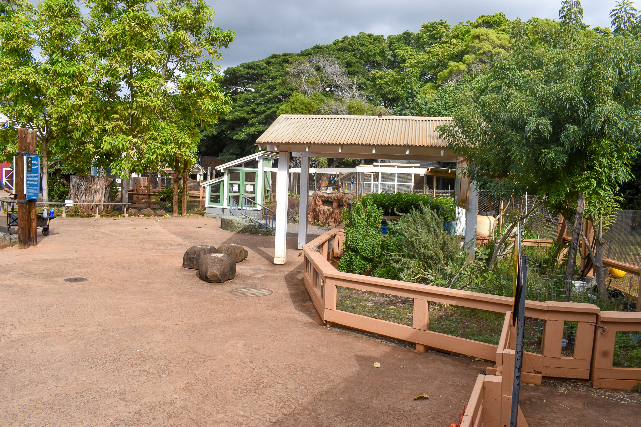 Keiki zoo - tortoise enclosures