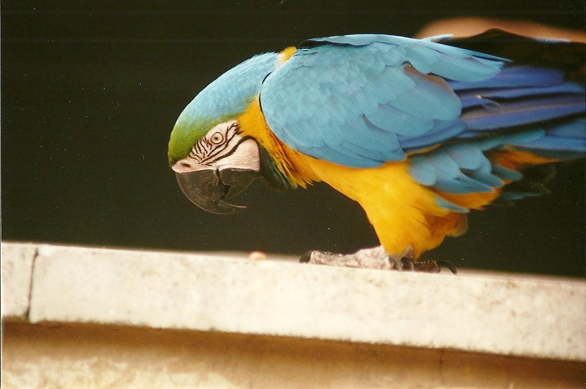 Keiko 24th June 2000