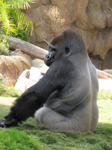 Kelly Relaxing In His Habitat