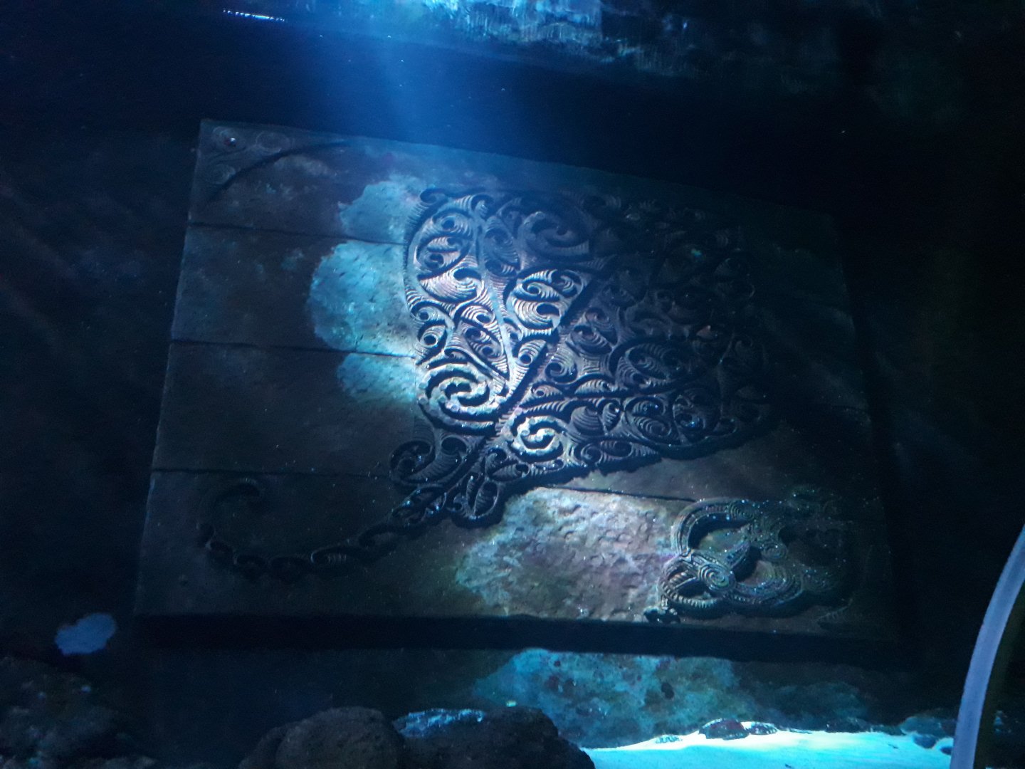 Kelly Tarltons | Shipwreck Discovery Decoration