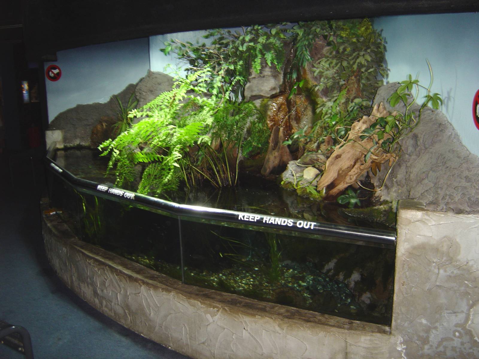 Kelly Tarlton's Underwater World