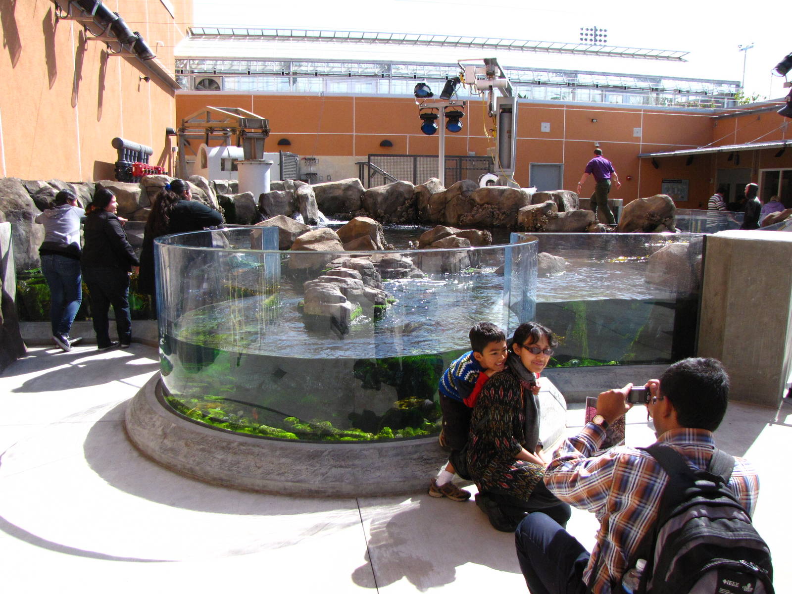 Kelp Forest Above Surface