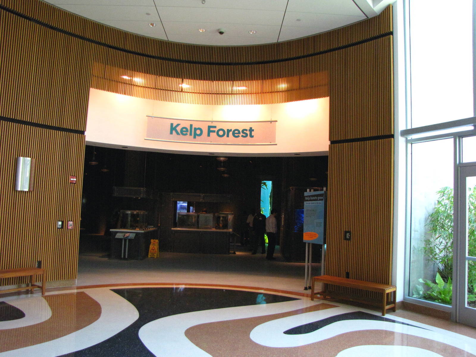Kelp Forest Entrance