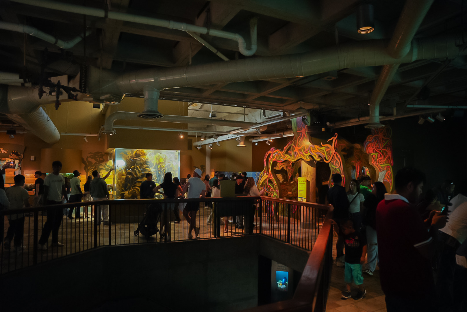 Kelp Forest second level overview