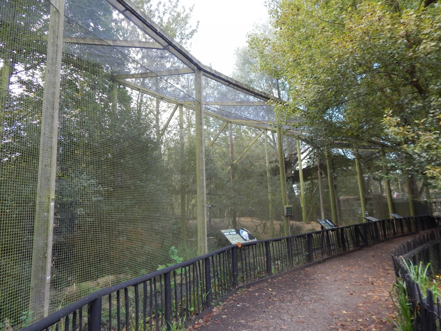 Ken West Aviary 030924