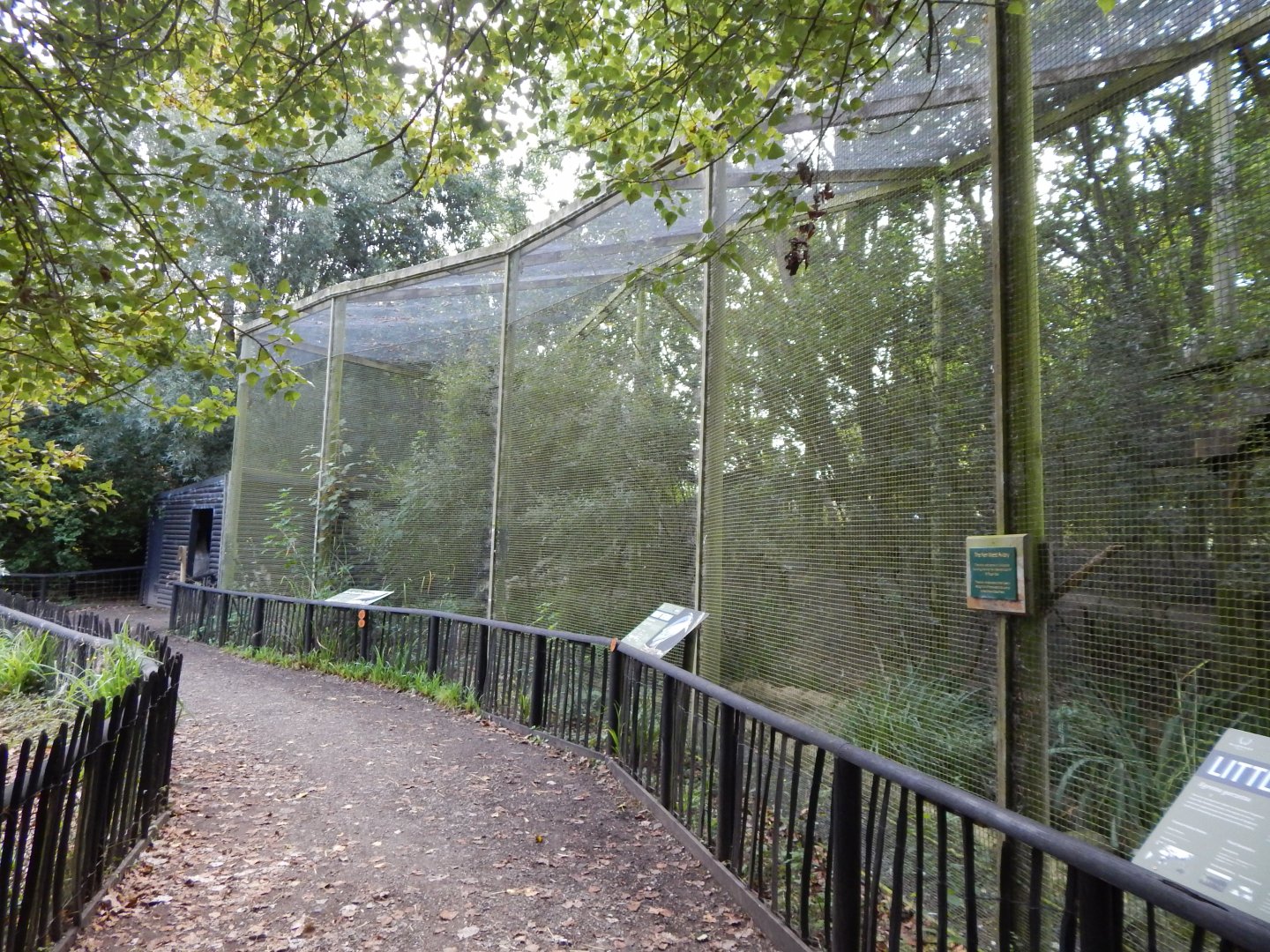 Ken West Aviary 030924