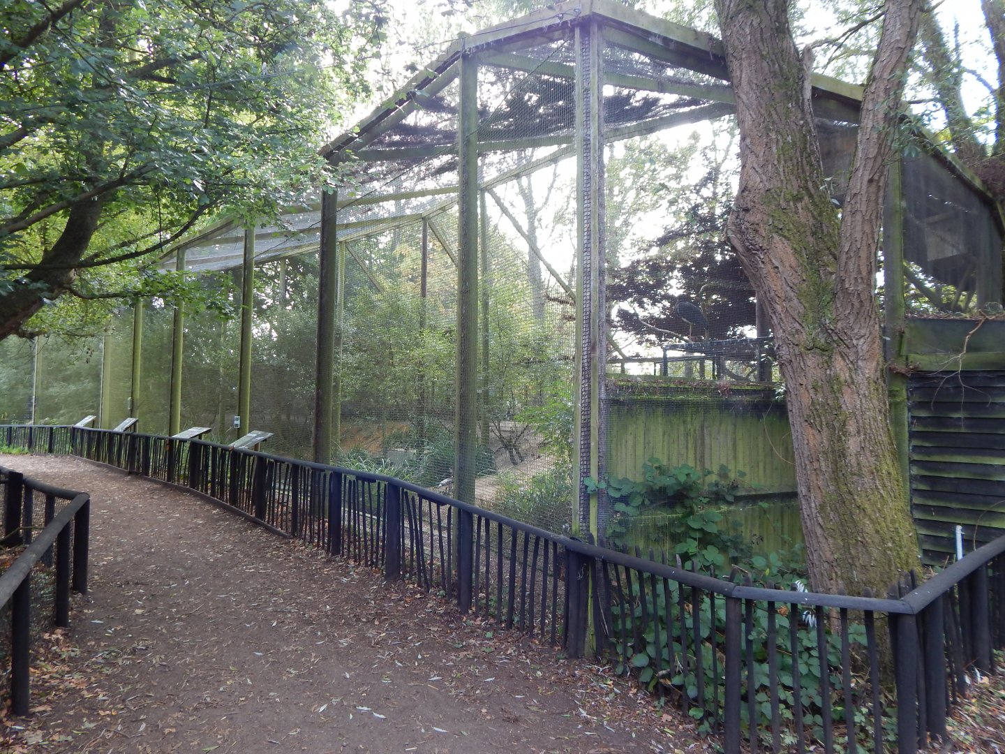 Ken West Aviary 030924
