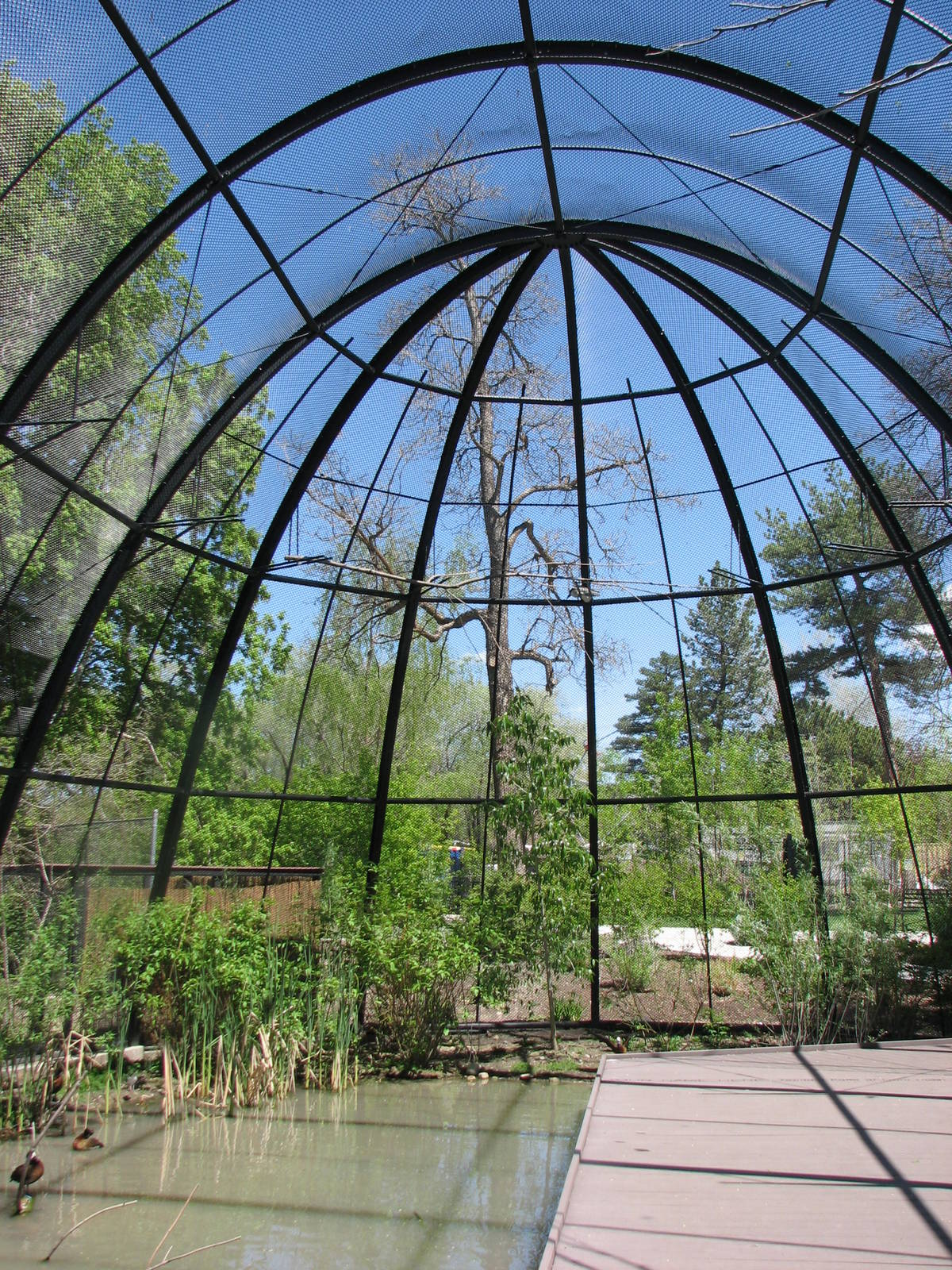 Kennecott Wetland Immersion Experience