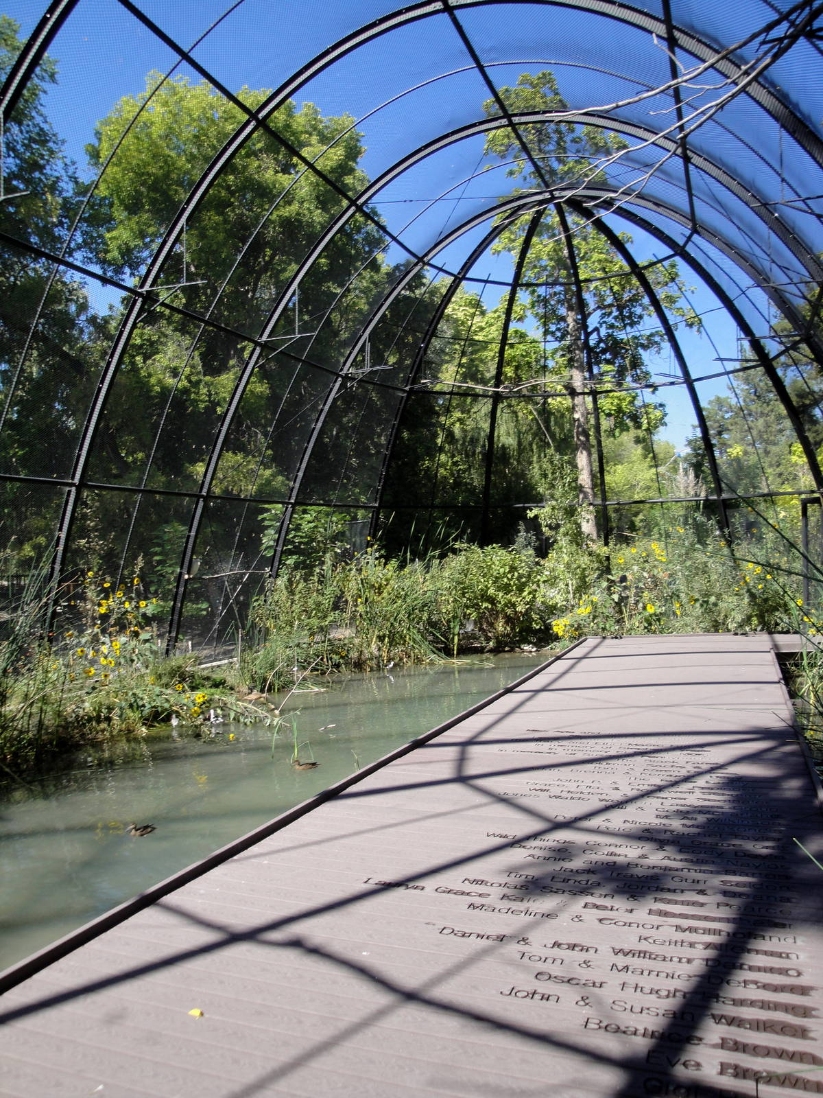 Kennecott Wetlands Immersion Experience Exhibit