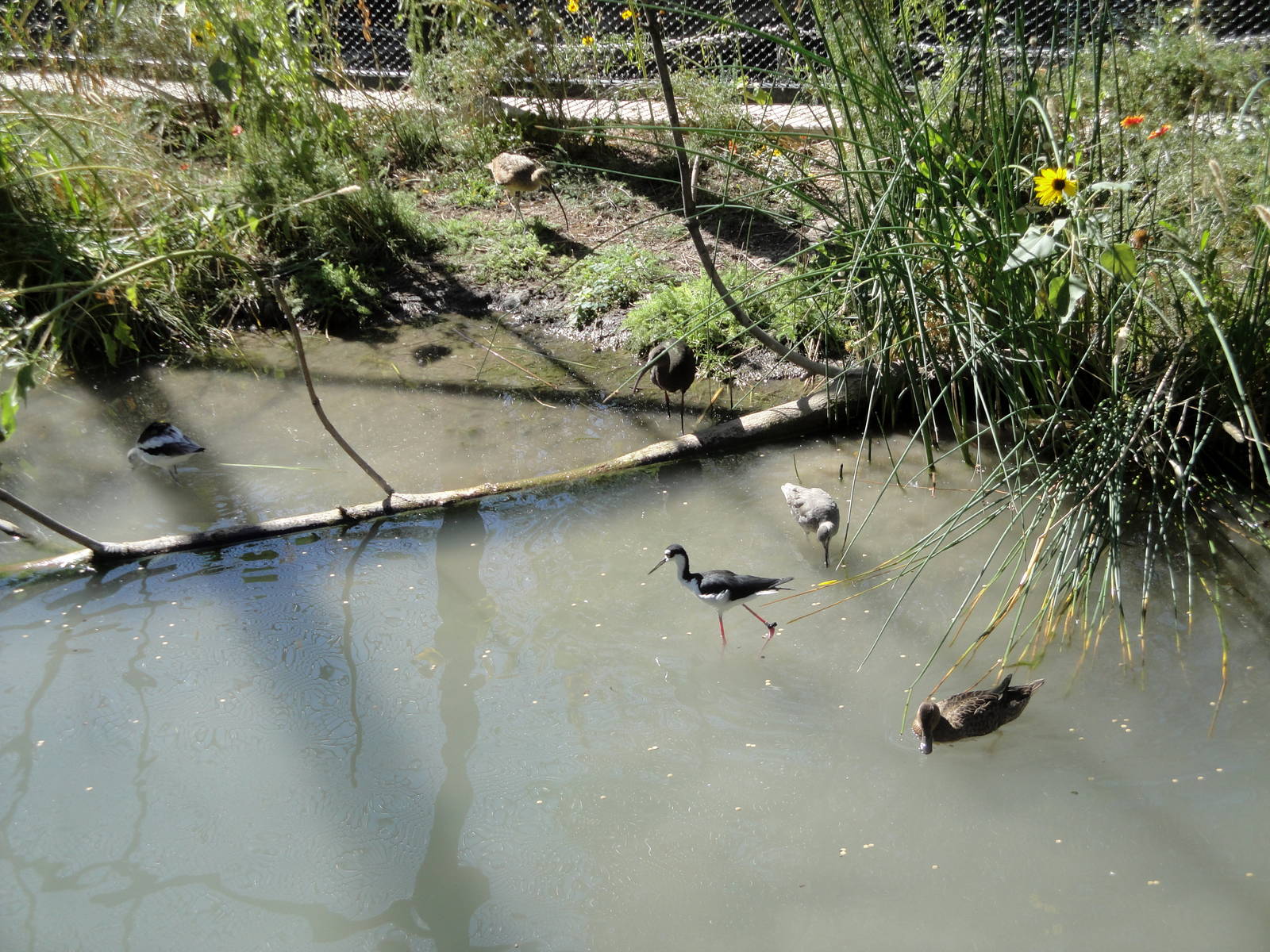 Kennecott Wetlands Immersion Experience Exhibit