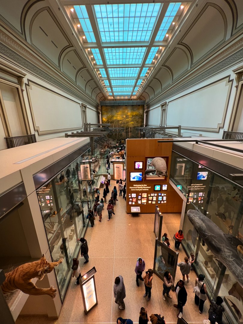 Kenneth E. Behring Family Hall of Mammals Balcony View