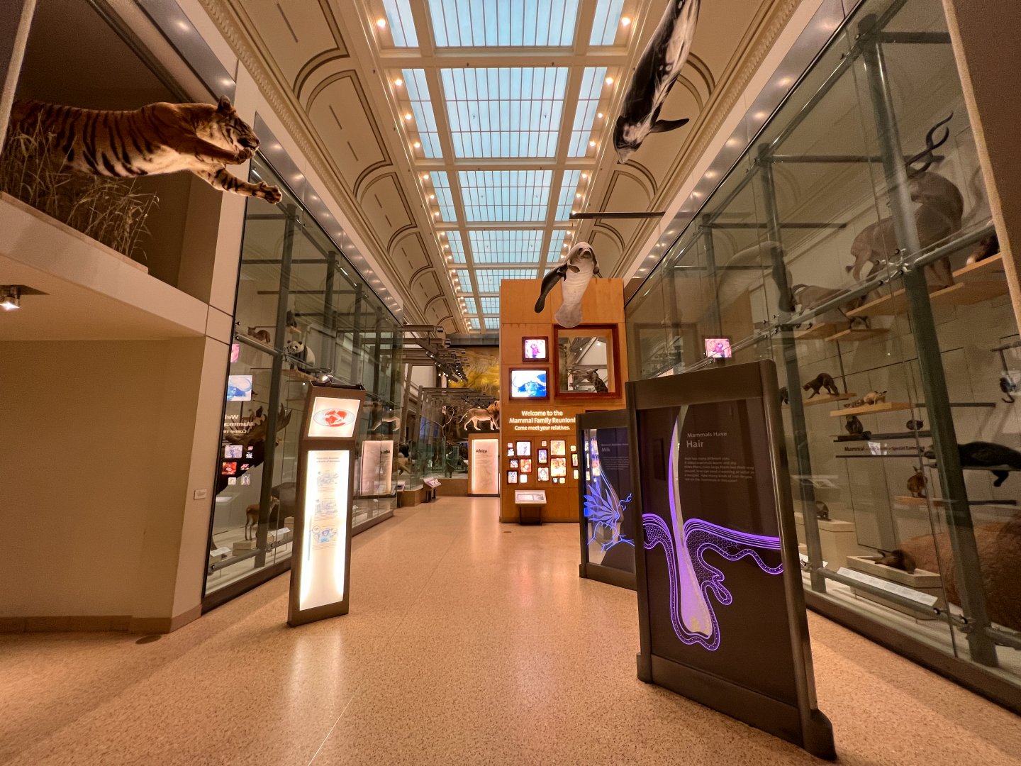 Kenneth E. Behring Family Hall of Mammals Entrance