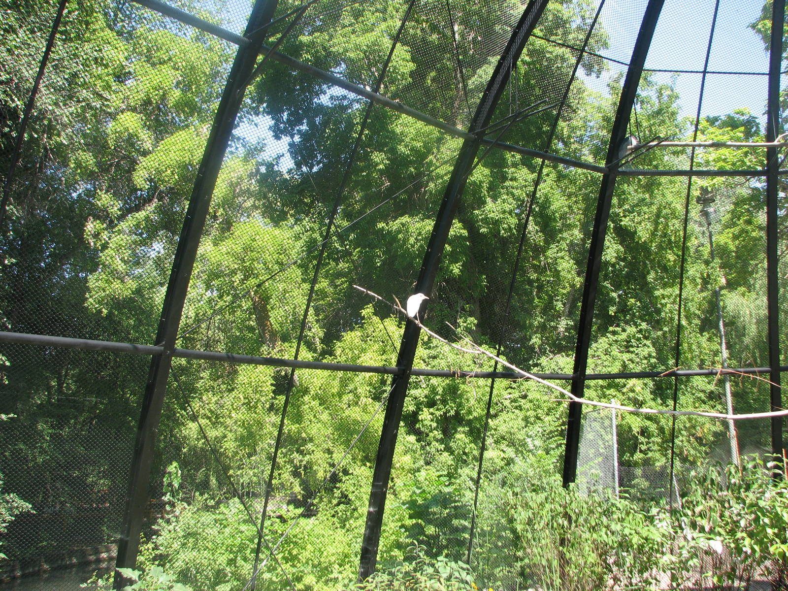 Kennicott Wetlands aviary