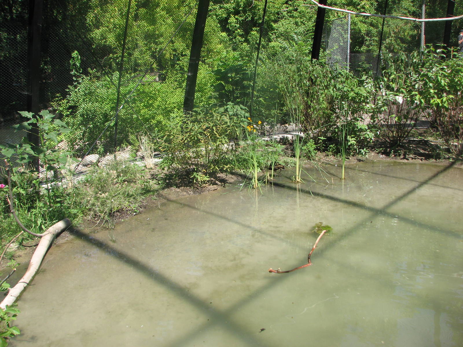Kennicott Wetlands aviary