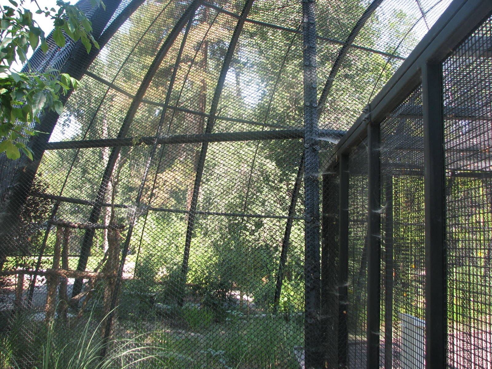 Kennicott Wetlands aviary