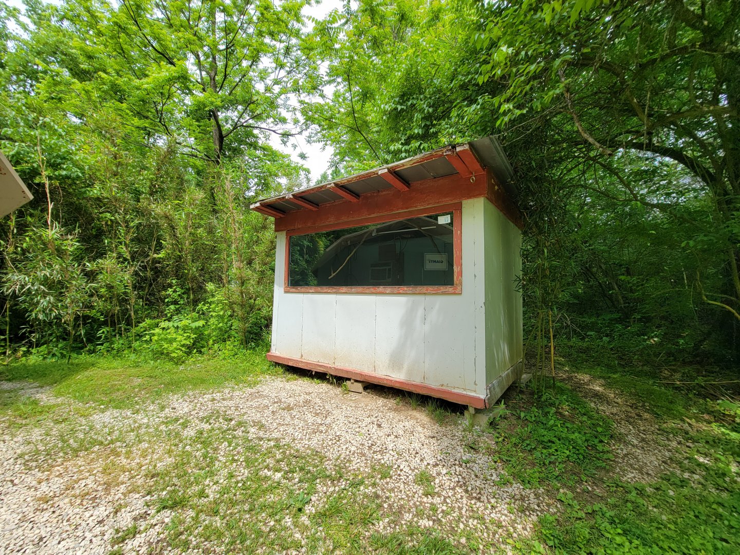 Kentucky Reptile Zoo - Black & white tegu