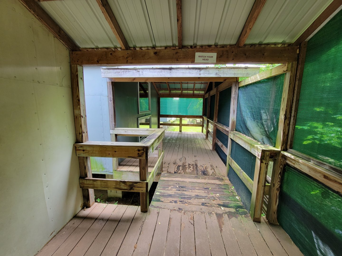 Kentucky Reptile Zoo - Cobras