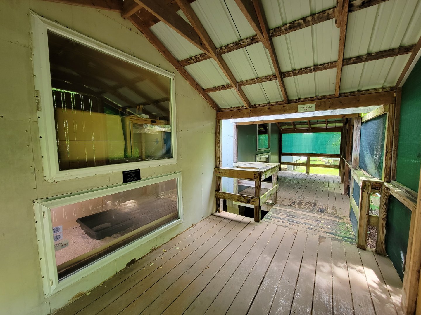 Kentucky Reptile Zoo - Cobras