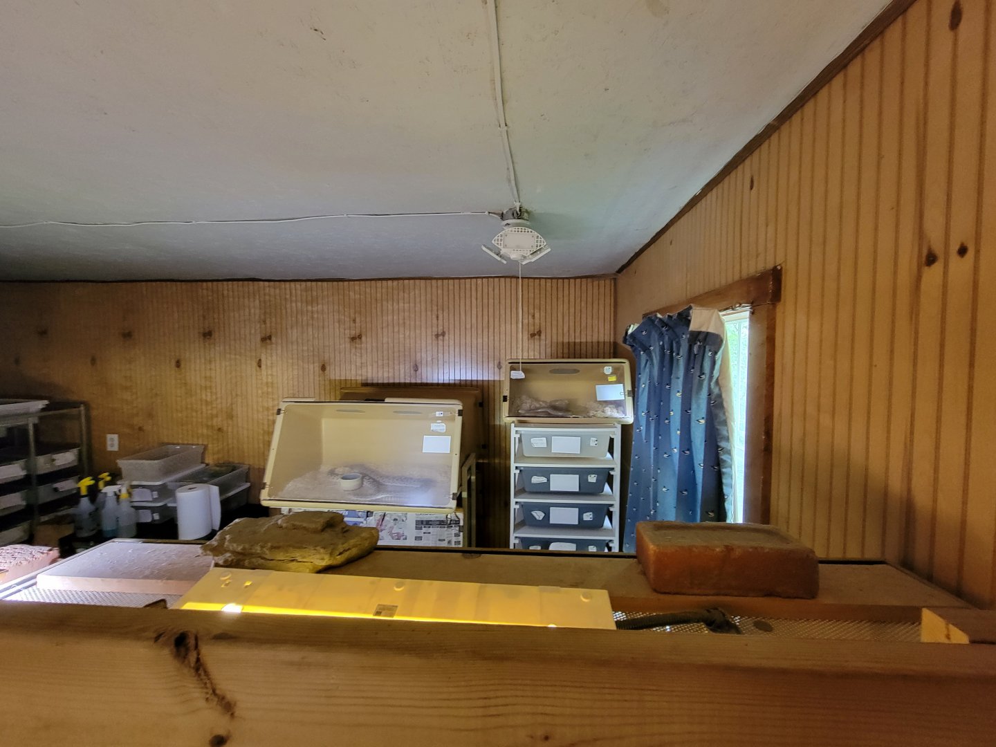 Kentucky Reptile Zoo - North America building, behind public area